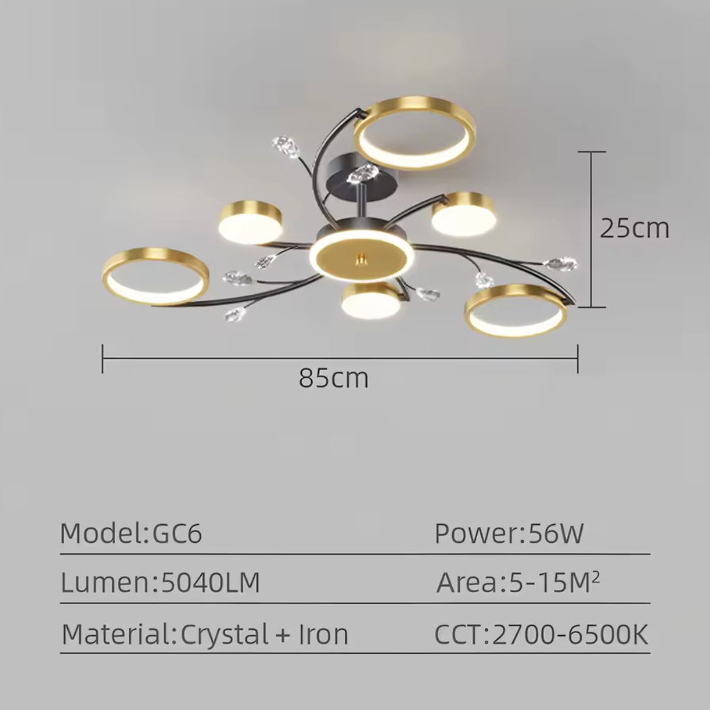 ORBITAL FLOW